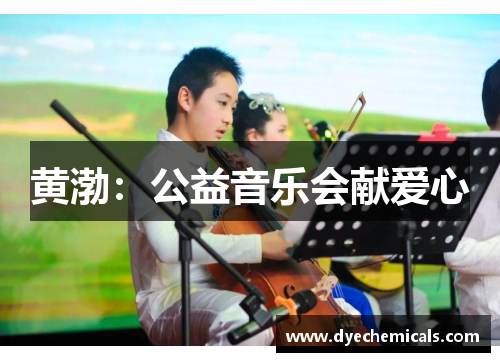 黄渤：公益音乐会献爱心