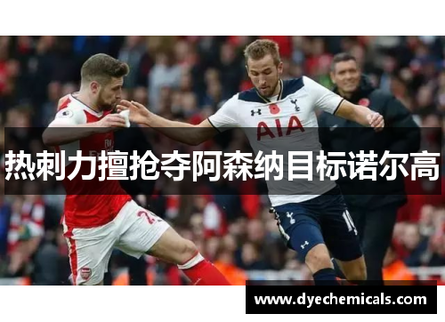 热刺力擅抢夺阿森纳目标诺尔高